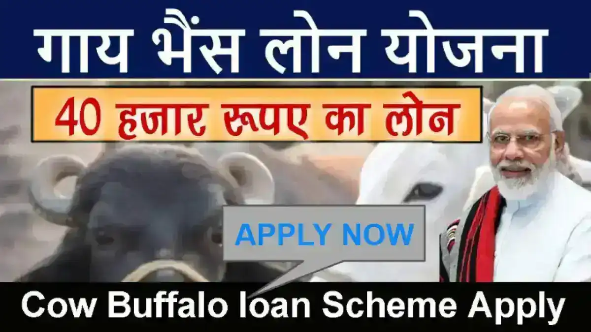 गाय भैंस लोन योजना ऑनलाइन आवेदन 2025 - Gaay bhes loan Yojana online application form
