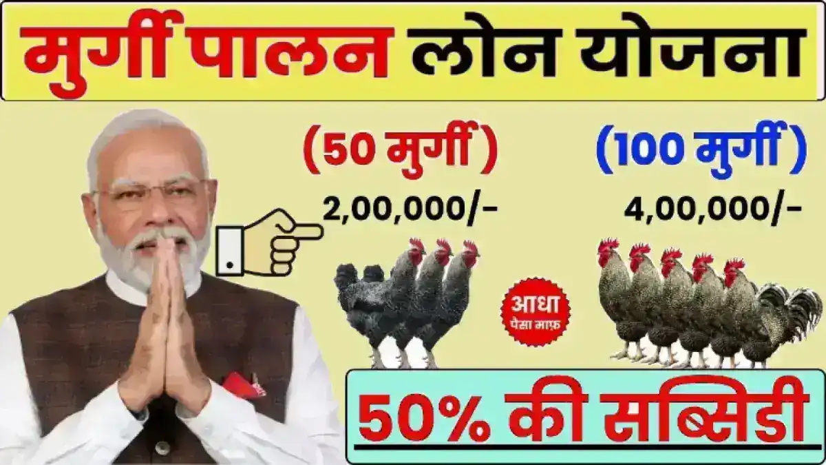 Poultry Farm Loan Scheme 2025: पोल्ट्री फार्म लोन योजना ₹9 लाख तक का लोन और 33% सब्सिडी से बदलें अपनी जिंदगी
