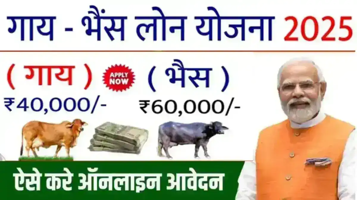 गाय भैंस लोन कैसे ले पशु पालन लोन अप्लाई - Gaay Bhains Loan Kaise le