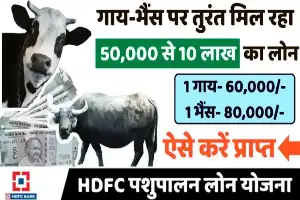 HDFC पशुपालन लोन 2025: गाय-भैंस पालन के लिए मिल रहा है ₹10 लाख तक का लोन, जानिए पूरी जानकारी