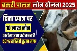 Bakri Palan Yojana 2025: बकरी पालन योजना बेरोजगार युवाओं को मिलेगा 50 लाख तक का लोन और 60% तक सब्सिडी
